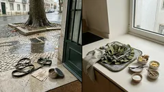 Por que é que os cheiros contam mais do que os quilómetros no passeio — e como aproveitar isso sem confusão