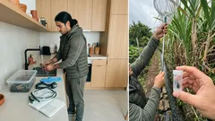 A ‘solução’ que saiu do controlo: o sapo‑da‑cana na Austrália e a lição das introduções apressadas